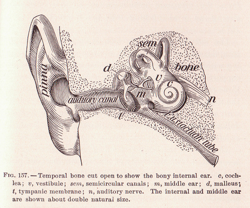 hearinghearing loss